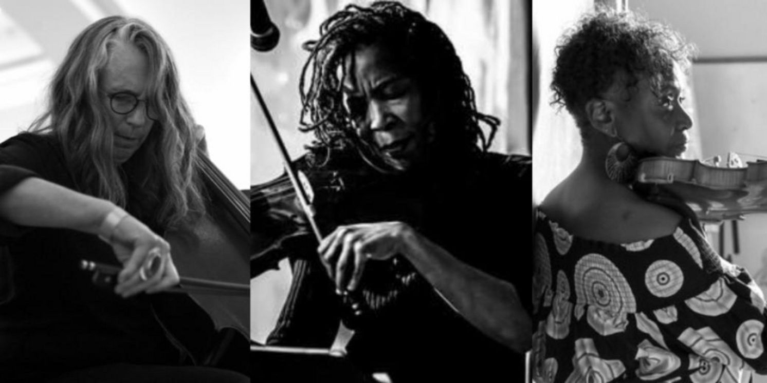 Kaatsbaan Cultural Park Will Present FEEDBACK SONATA by Lori Goldston September 27  Image