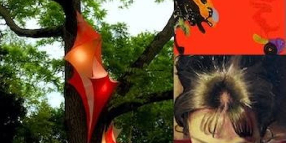 Kaatsbaan Cultural Park Will Open 6th Annual Visual Arts Exhibition