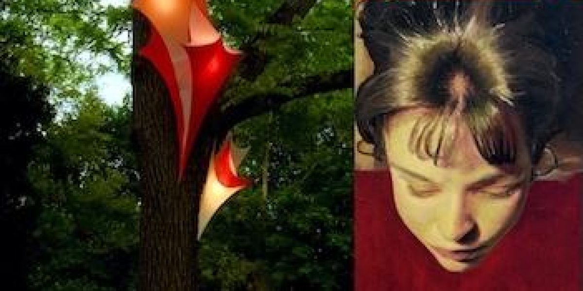 Kaatsbaan Cultural Park to Present Sixth Annual Visual Arts Exhibition EARTHLY DELIGHTS