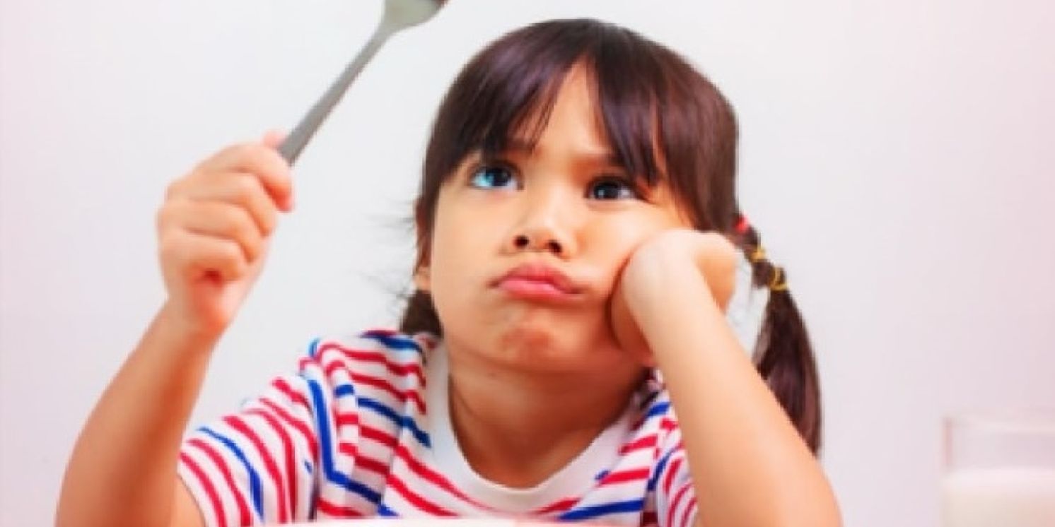 Karen Massy Releases New Book - Sneaky Eats: Creative Ways To Hide Vegetables For Picky Eaters  Image