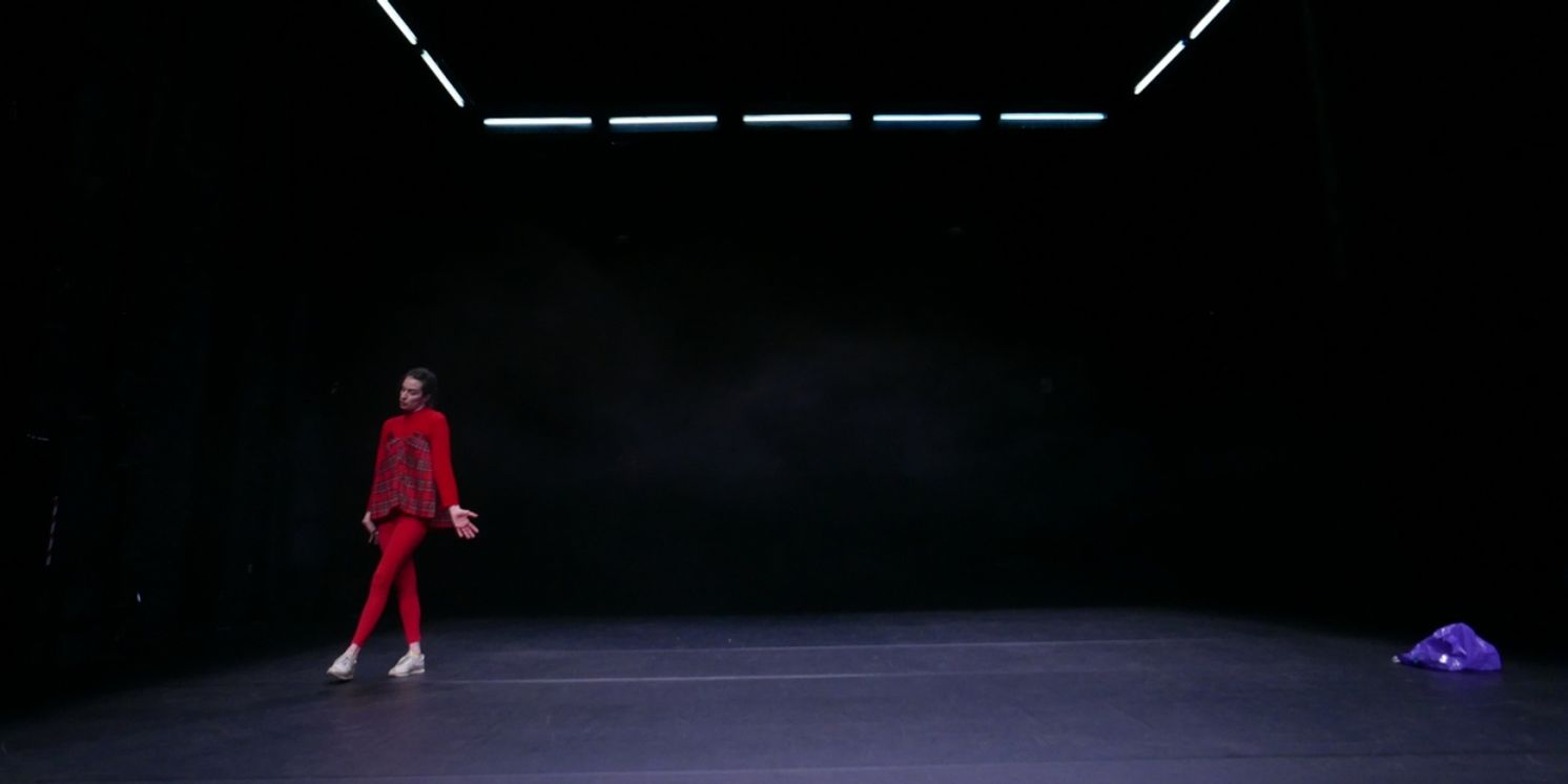 Marion Siéfert’s THE BIG SLEEP to Have New York Premiere at Crossing the Line Festival  Image