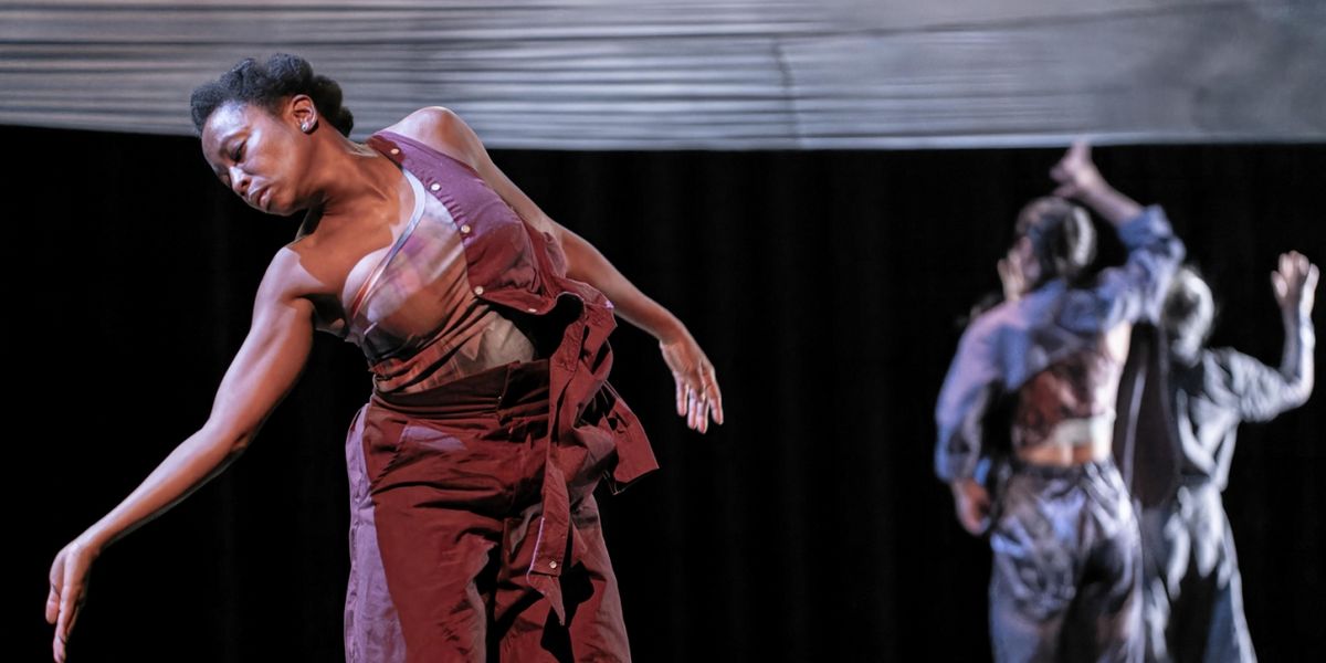 L'Alliance New York and New York Live Arts Will Bring Wanjiru Kamuyu's FRAGMENTED SHADOWS To Stage