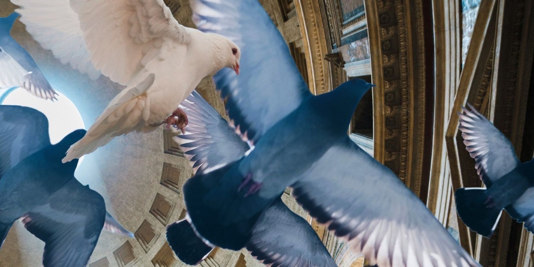 LA CLEMENZA DI TITO Comes to The Vienna State Opera