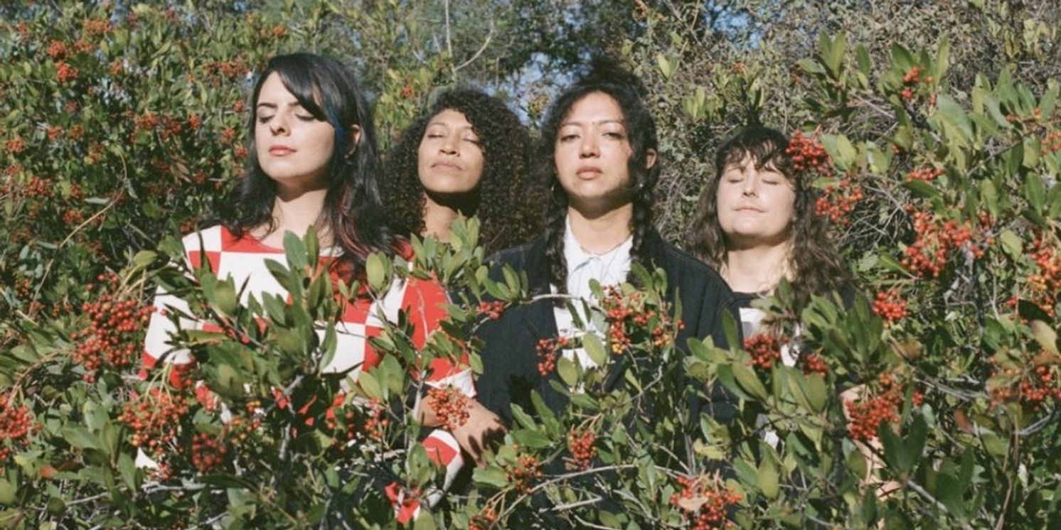 LA LUZ Release New Single 'Poppies'  Image