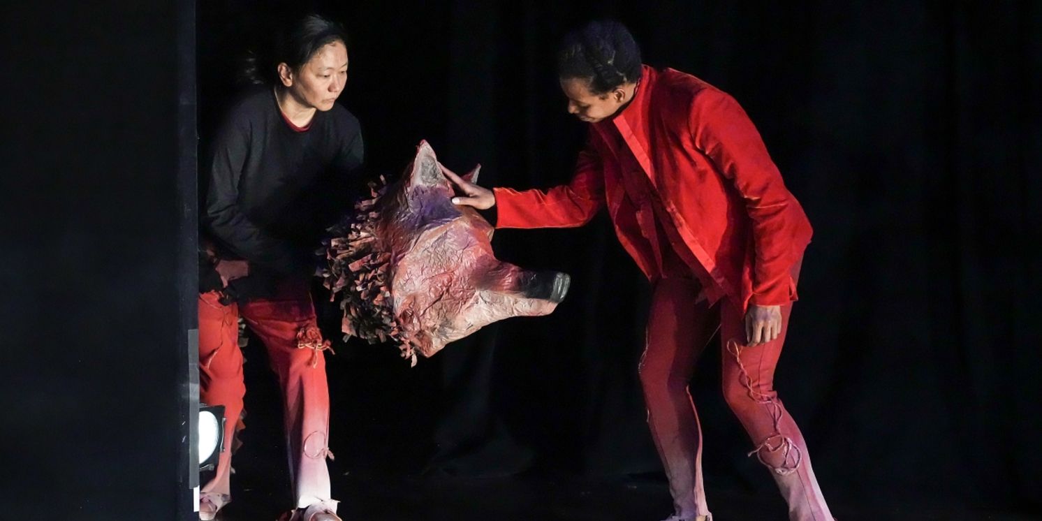 LA MAMA PUPPET FESTIVAL to Present Four World Premieres & More in November  Image