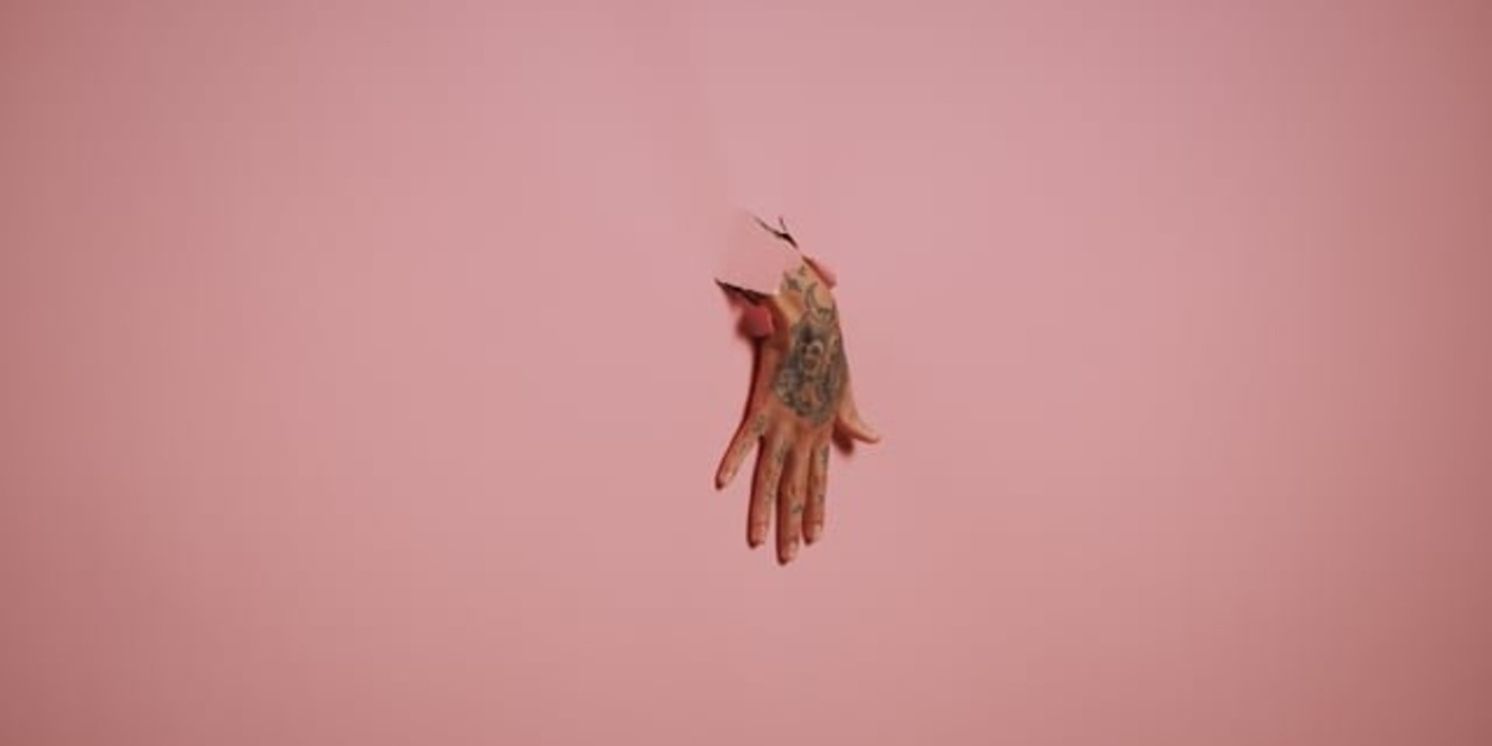 LE NOZZE DI FIGARO Will Come to the Dutch National Opera in May  Image