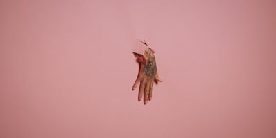 LE NOZZE DI FIGARO Will Come to the Dutch National Opera in May Photo