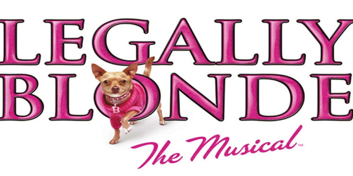 LEGALLY BLONDE THE MUSICAL Comes to South Africa in 2024  Image
