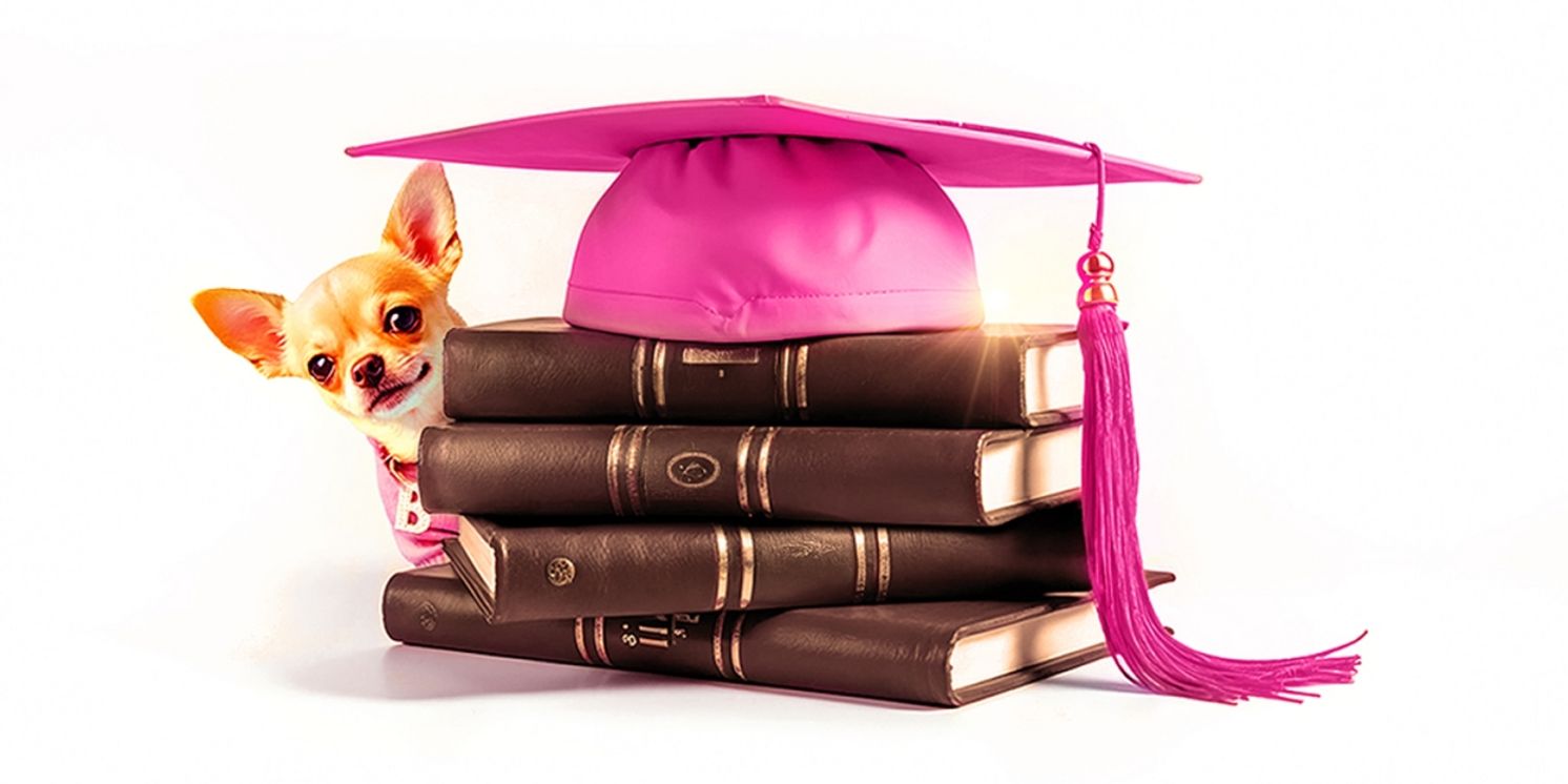 LEGALLY BLONDE THE MUSICAL is Coming To Wolverhampton Grand In 2026  Image