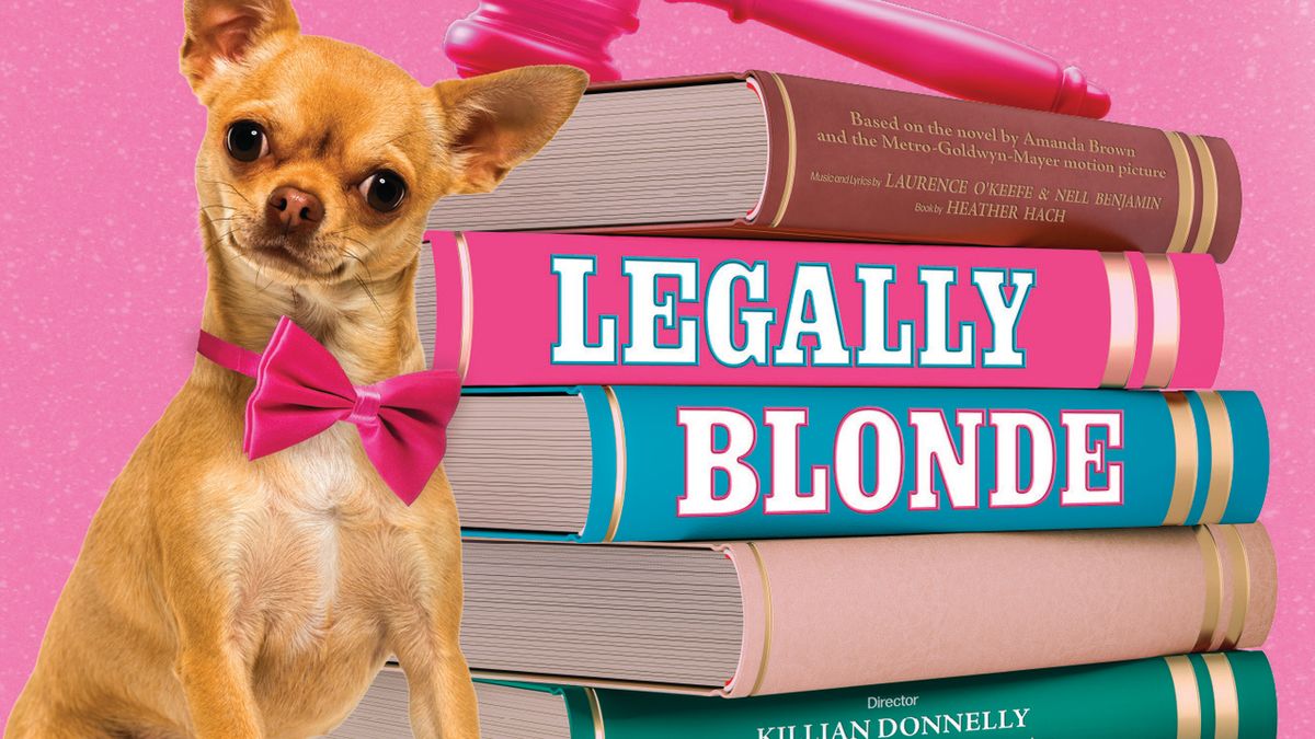 LEGALLY BLONDE Will Open at The Everyman With MTU Musical Theatre Students