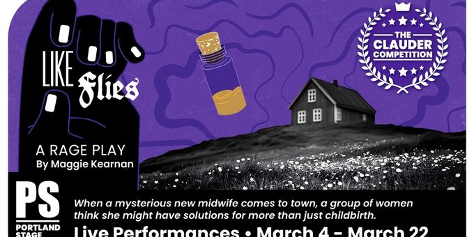 LIKE FLIES: A RAGE PLAY Comes to Portland Stage Photos