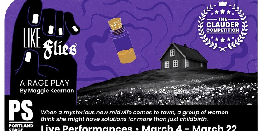 LIKE FLIES: A RAGE PLAY Comes to Portland Stage Photo