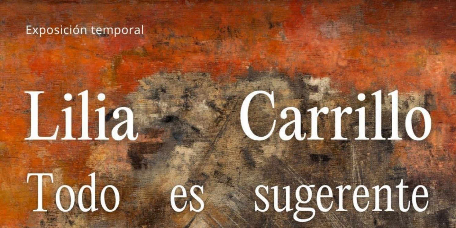 La Obra De Lilia Carrillo Regresa A Bellas Artes Después De Más De Cinco Décadas  Image