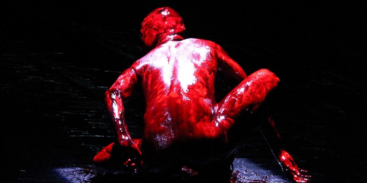 La Pieza De Danza Basoteve Se Presentó Con Éxito En El Pabellón Escénico