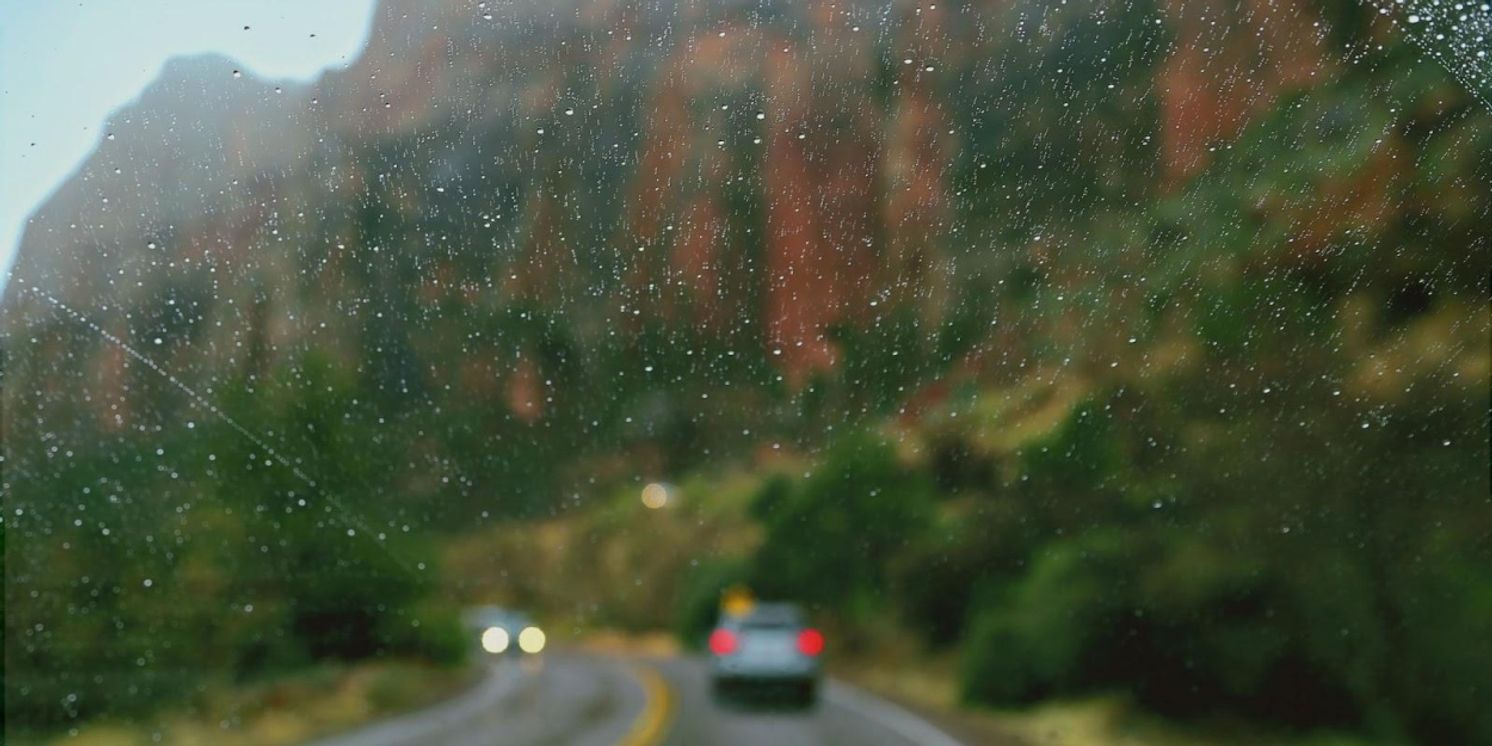 Laguna Art Museum Announces New Art + Nature Public Programs And Launches Call For Artists For 12th Annual Art + Nature 2024  Image