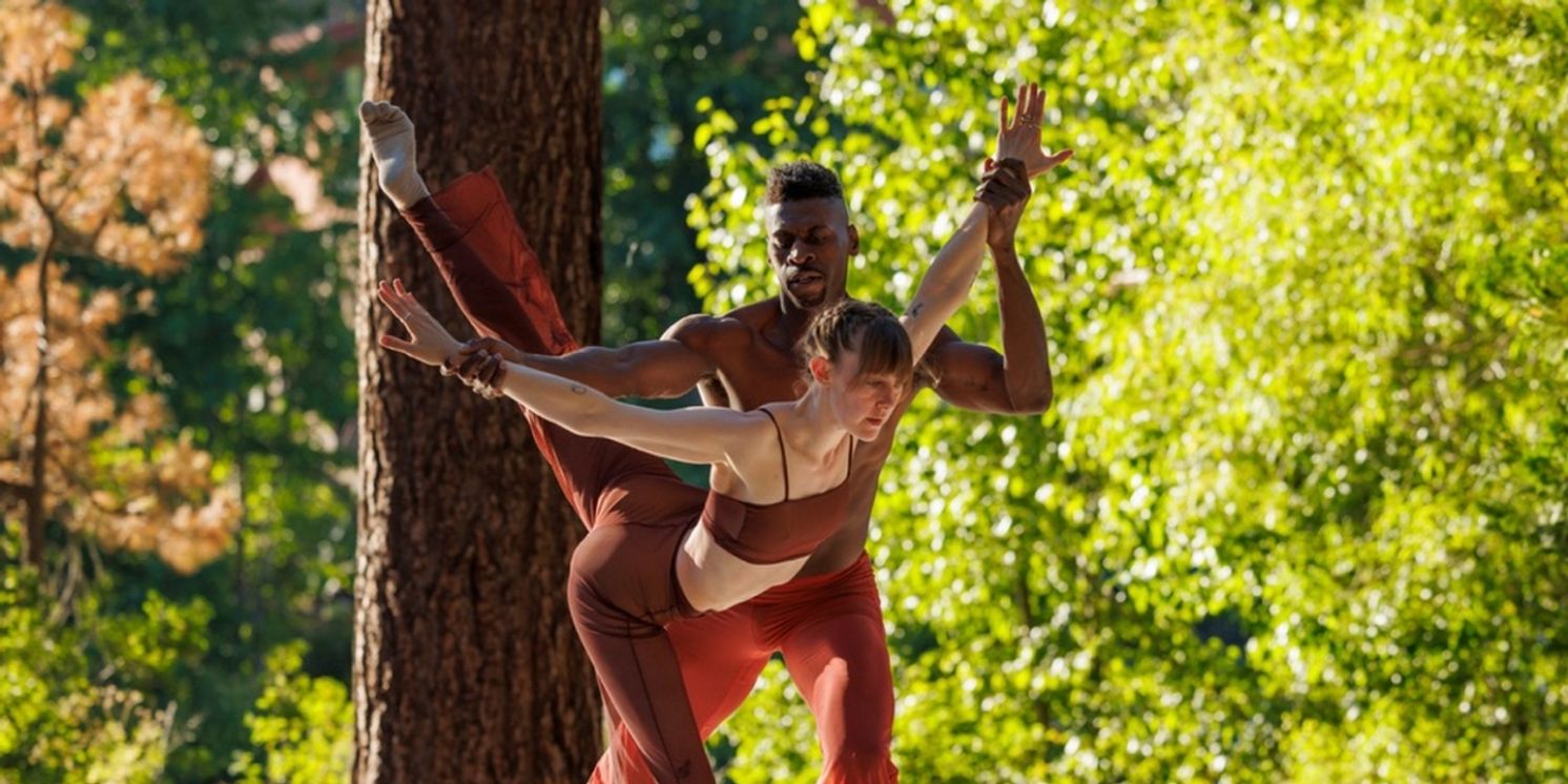 Lake Tahoe Dance Collective to Host Opening Night Gala  Image