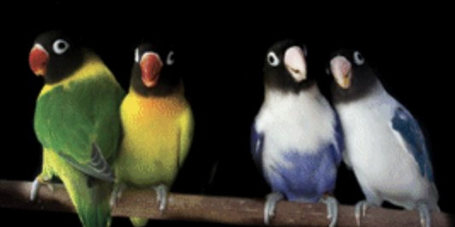 Lantern Theater Company Closes 30th Anniversary Season with THE COMEDY OF ERRORS  Image