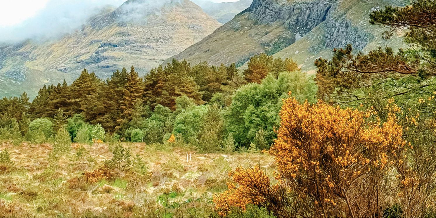 Laoi Sinfonia Will Present Concert at MTU Cork School of Music  Image