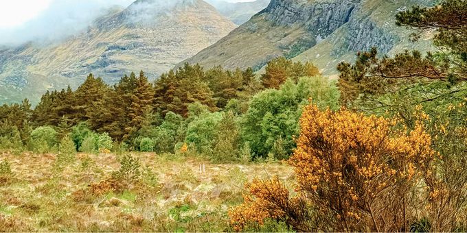 Laoi Sinfonia Will Present Concert at MTU Cork School of Music Photos