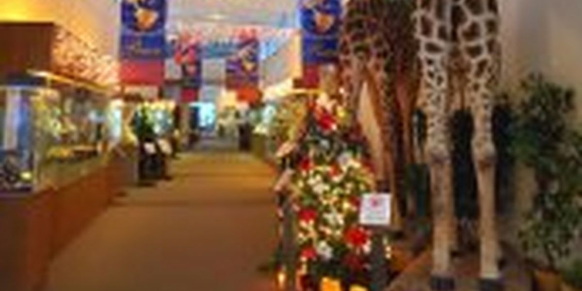 Las Vegas Natural History Museum Announces Winter Programming