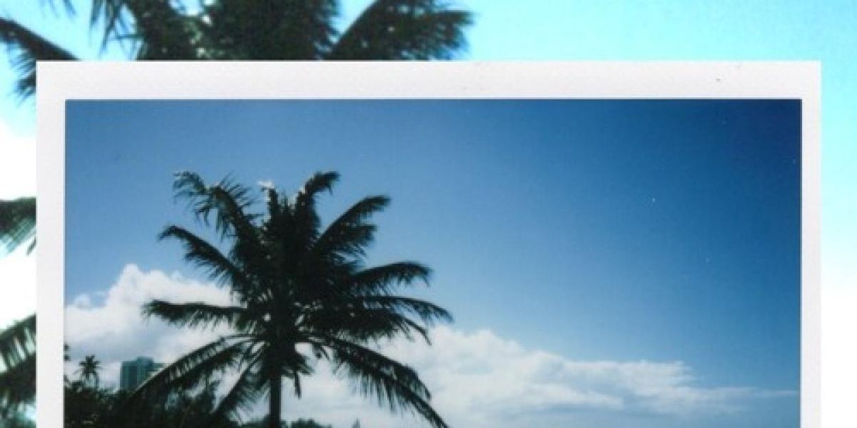 Live Well Releases New Single 
