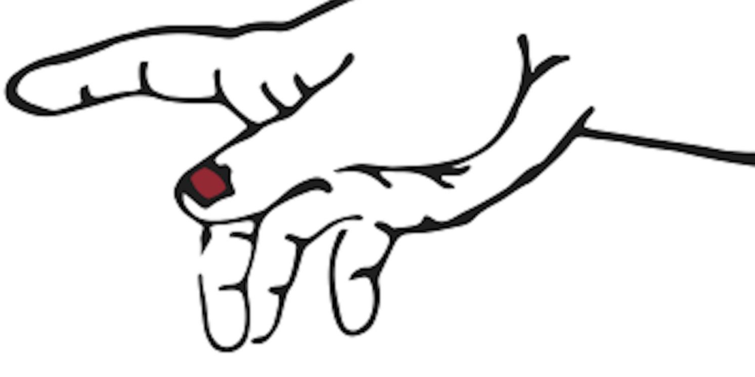 C.E. Hoffman Transforms Chapbook NO ACTUAL SIN into Edmonton Fringe Debut  Image