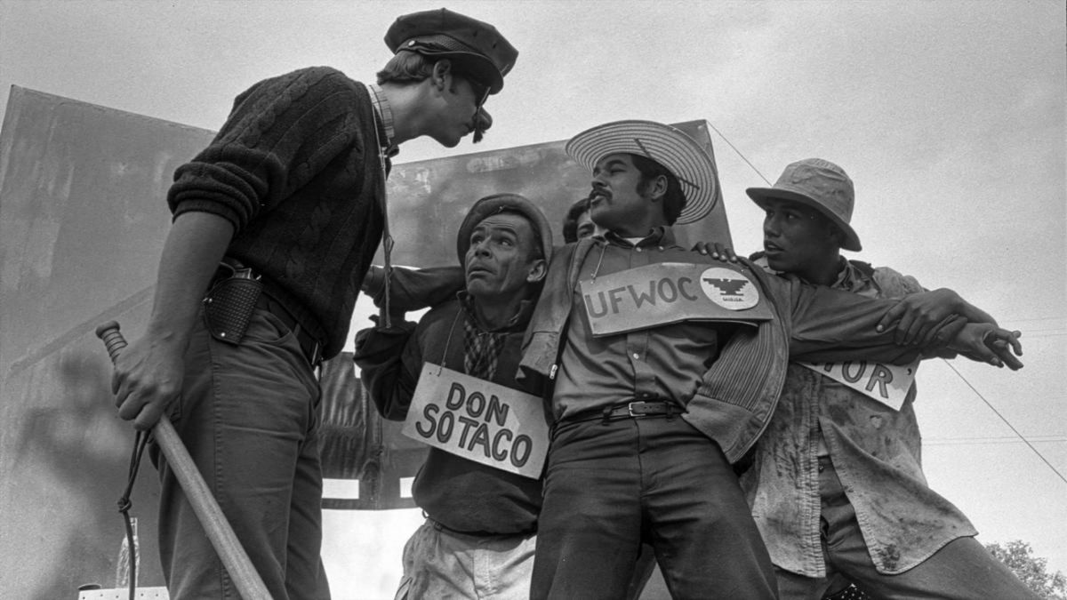 MÉXICO NOW FESTIVAL Returns to NYC With AMERICAN PACHUCO, CAFÉ TACVBA