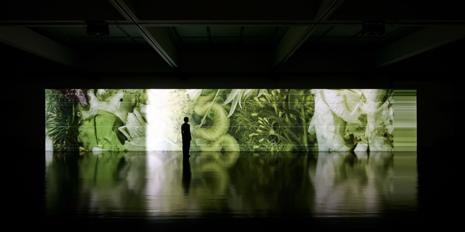 M+ to Showcase Ryuichi Sakamoto's SEEING SOUND, HEARING TIME Exhibition  Image