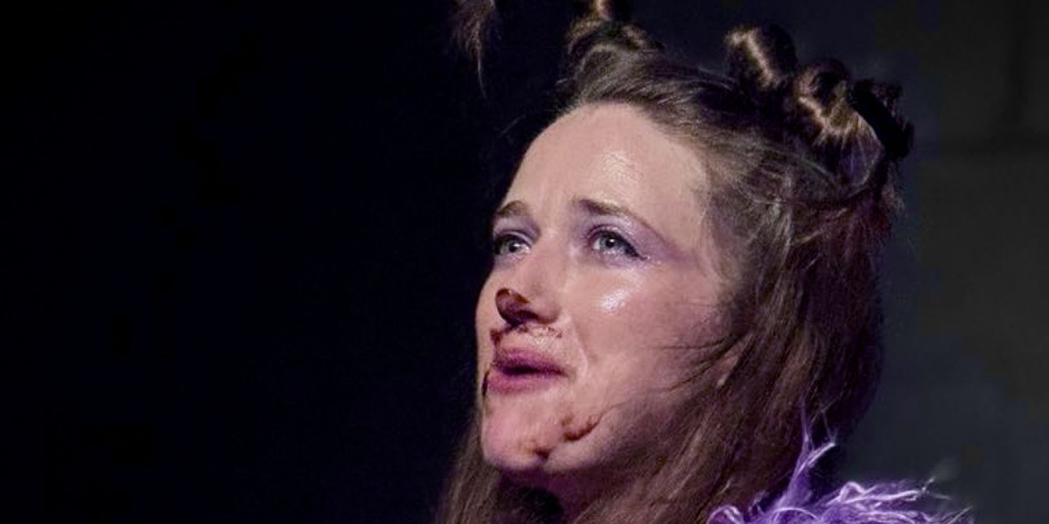 MAGGIE Solo Fly-Woman Comedy To Be Presented at Hollywood Fringe Festival  Image