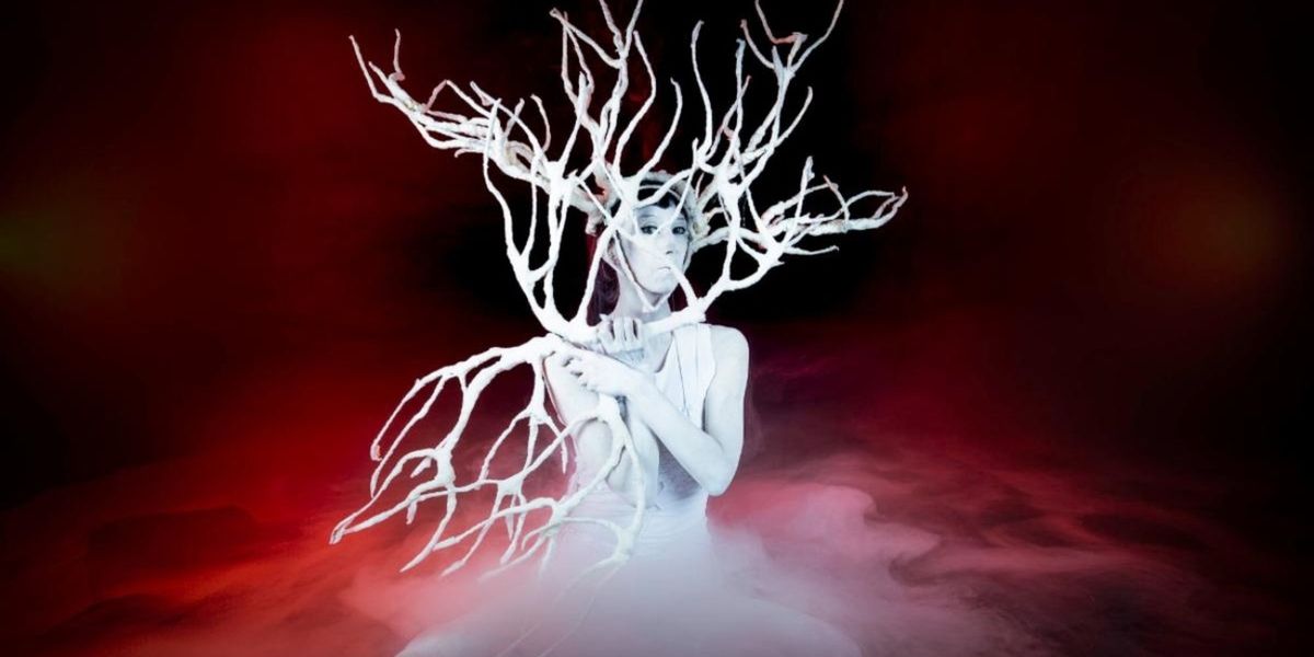 MAN WOMAN Butoh Fairy Tale by Vangeline to Play Schwarzman Centre