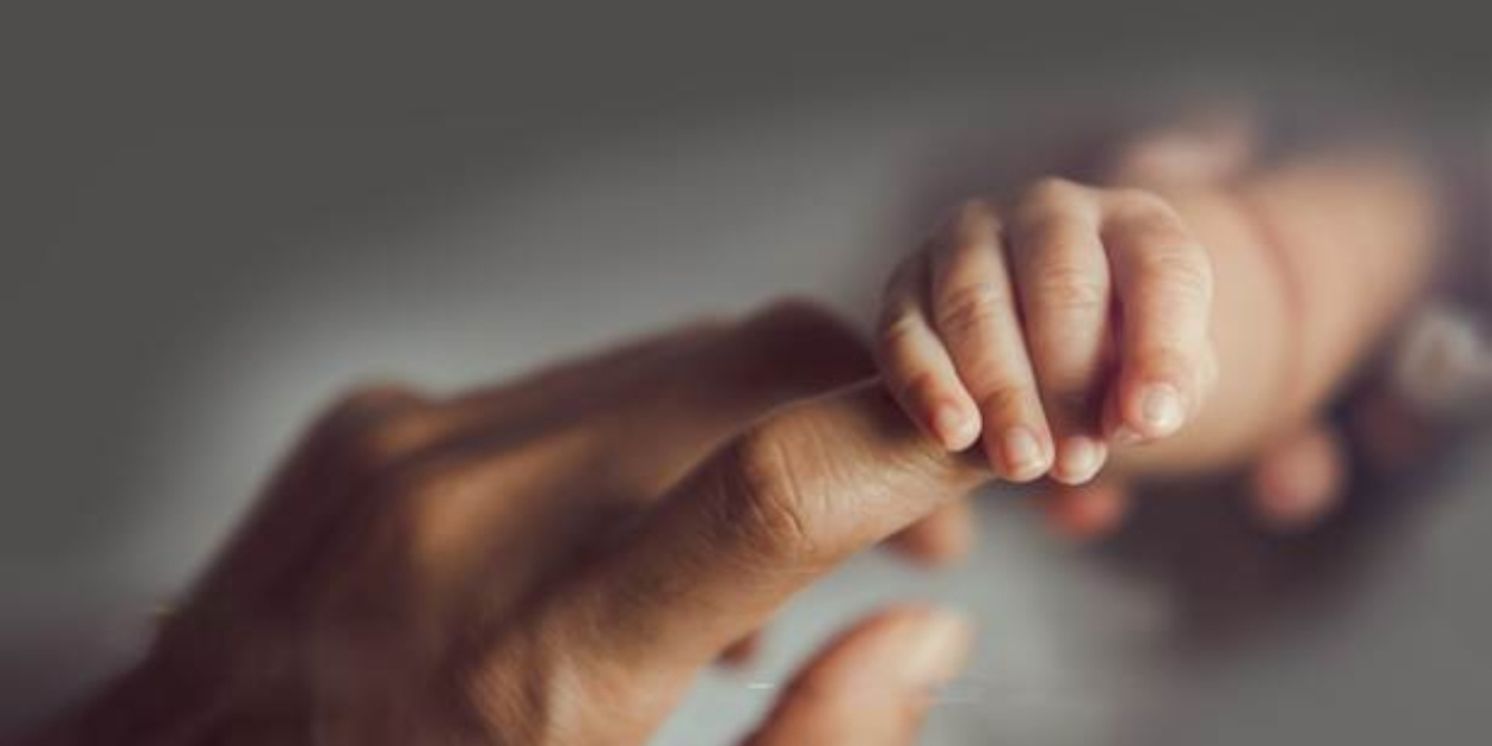 MARY JANE by Amy Herzog to be Presented at Bridge Street Theatre  Image