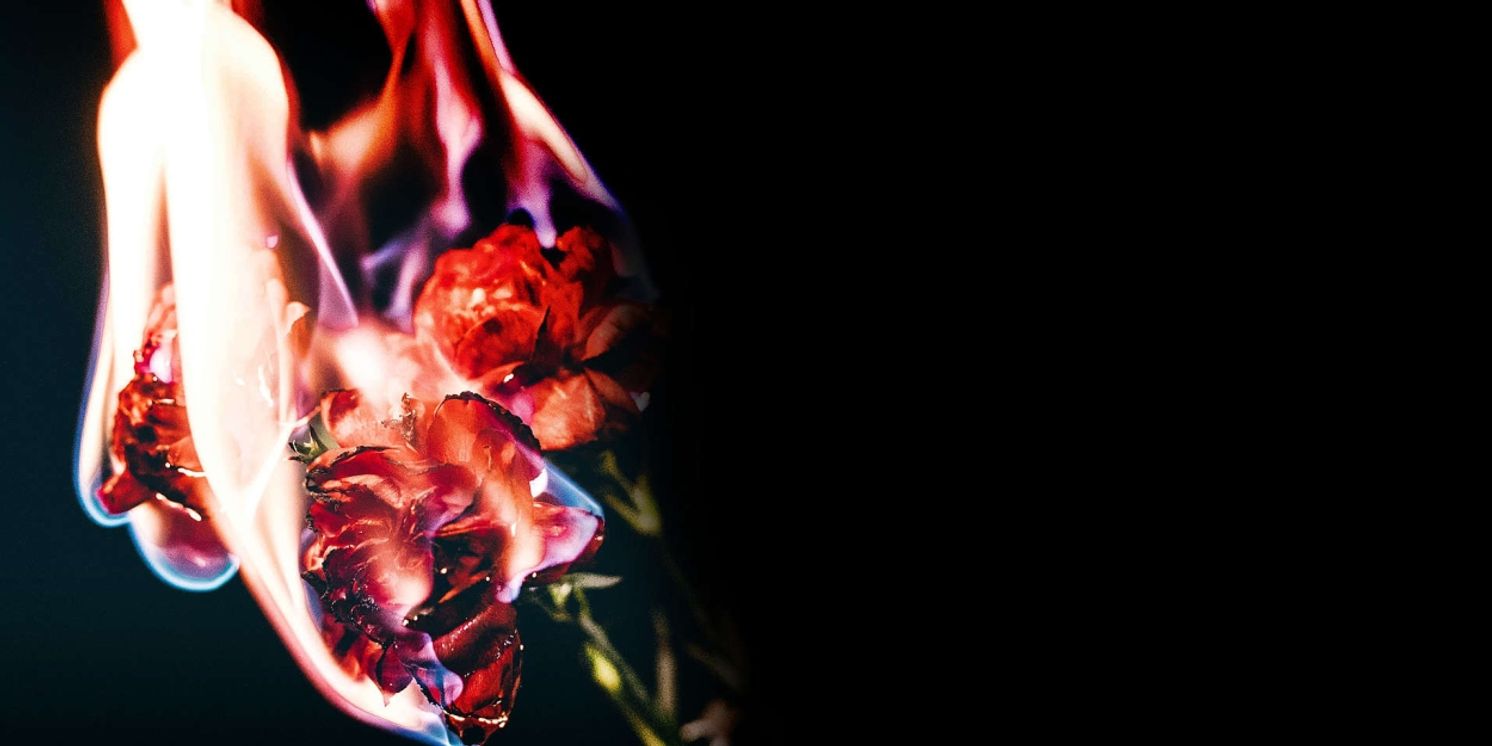 MEDEE Comes to Teatr Wielki in January 2024  Image