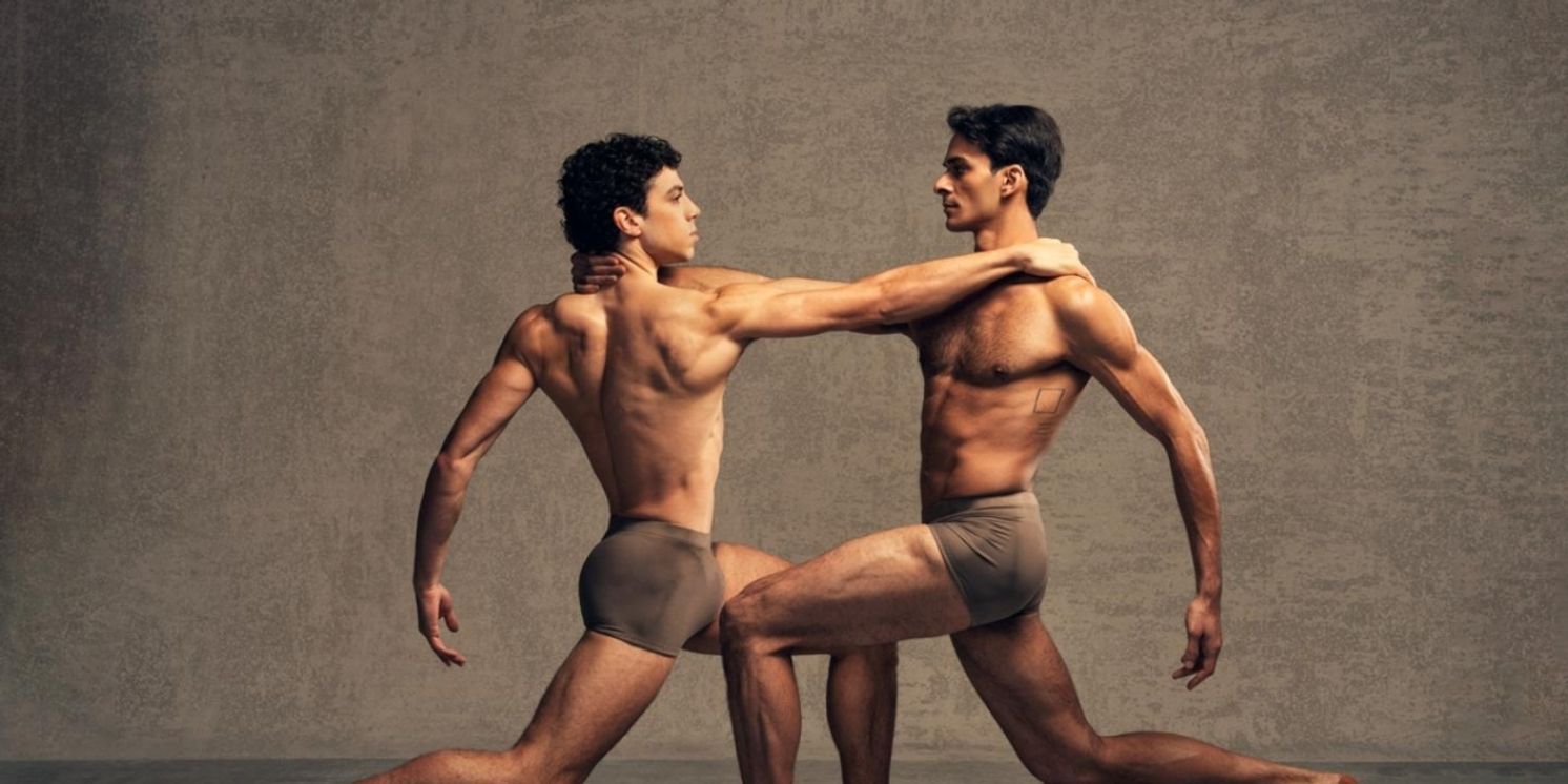 MONUMENT Comes to the Dutch National Opera  Image