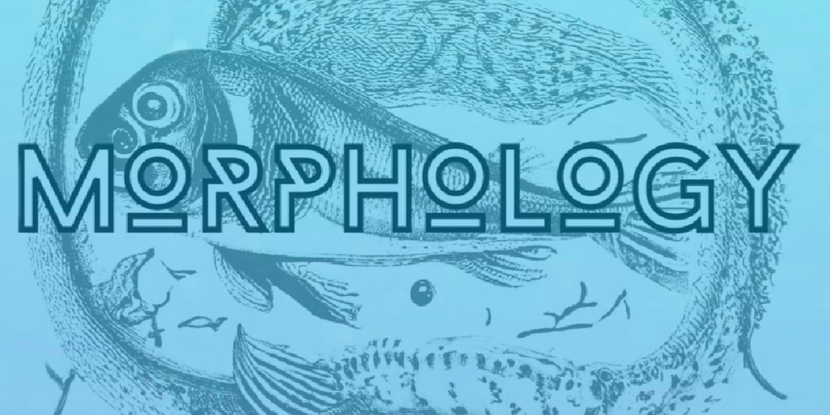 MORPHOLOGY to Make New England Premiere at Boston Playwrights Theatre