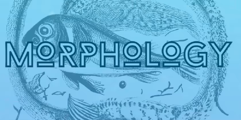 MORPHOLOGY to Make New England Premiere at Boston Playwrights Theatre Photo