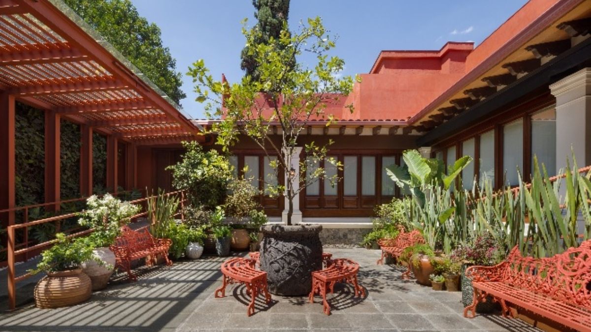 Museo Casa Kahlo Welcomes More Than 100,000 Visitors in Its First Year