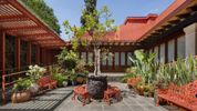 Museo Casa Kahlo Welcomes More Than 100,000 Visitors in Its First Year Photo