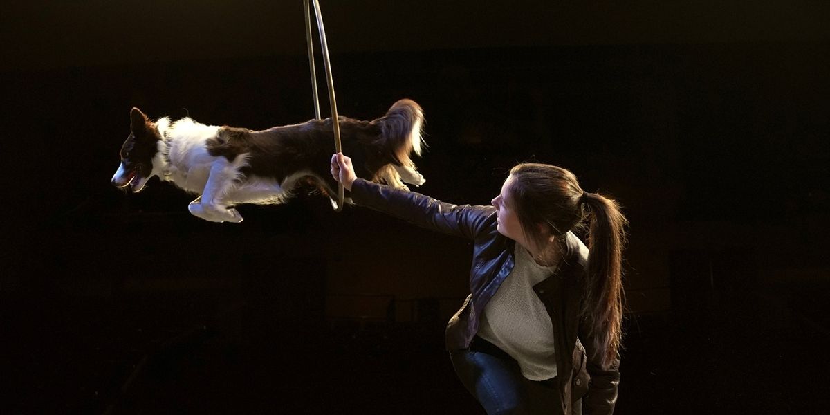 MUTTS GONE NUTS - UNLEASHED! Comes To Aventura