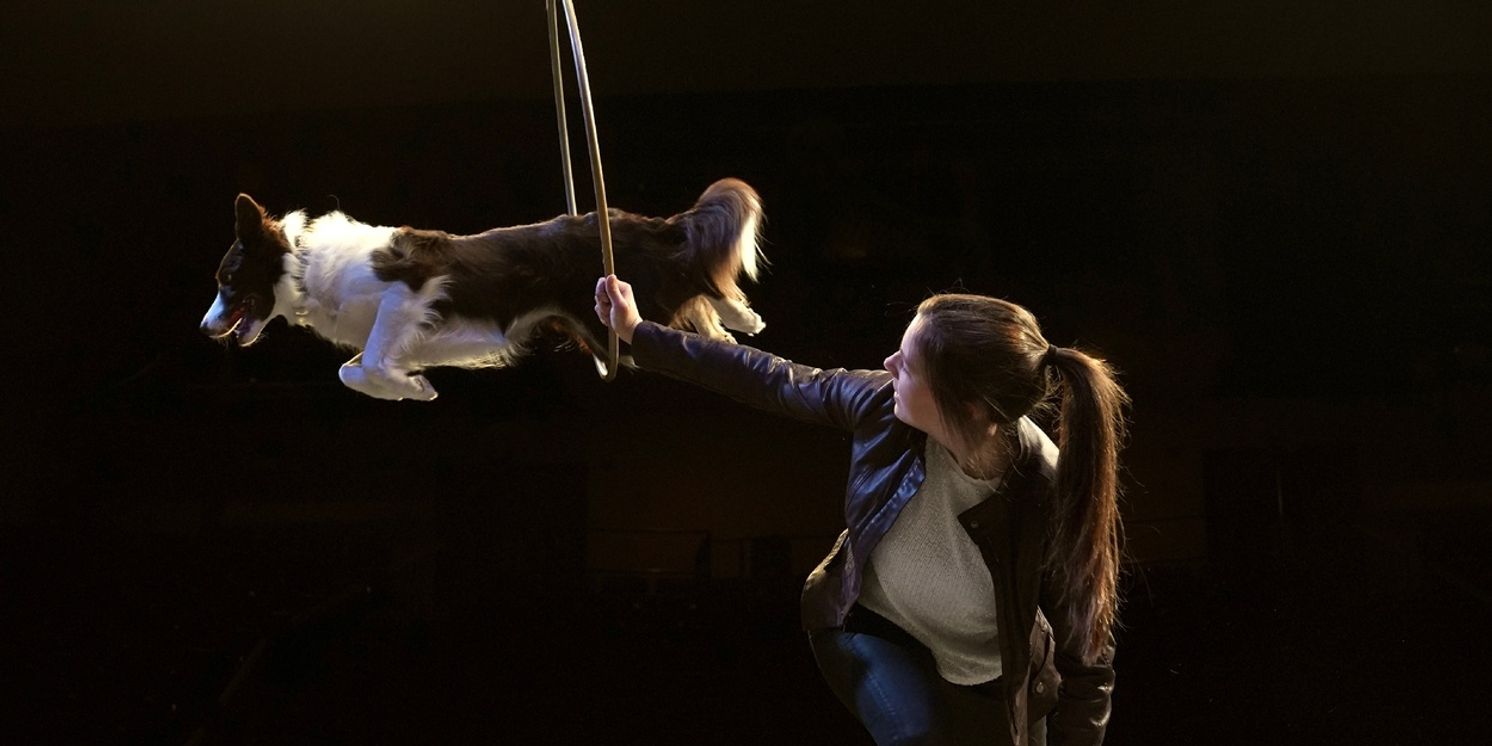 MUTTS GONE NUTS - UNLEASHED! Comes To Aventura  Image