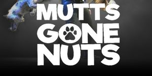 MUTTS GONE NUTS to Come to Westport Country Playhouse Family Festivities Series