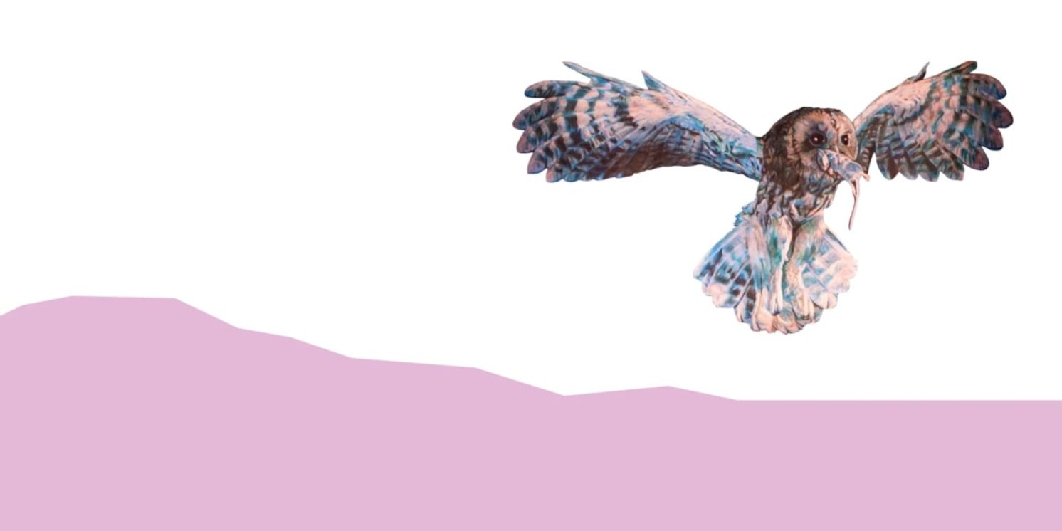 Ma Mère l'Oye /​ L'Enfant et les Sortilèges Comes to the Paris Opera  Image