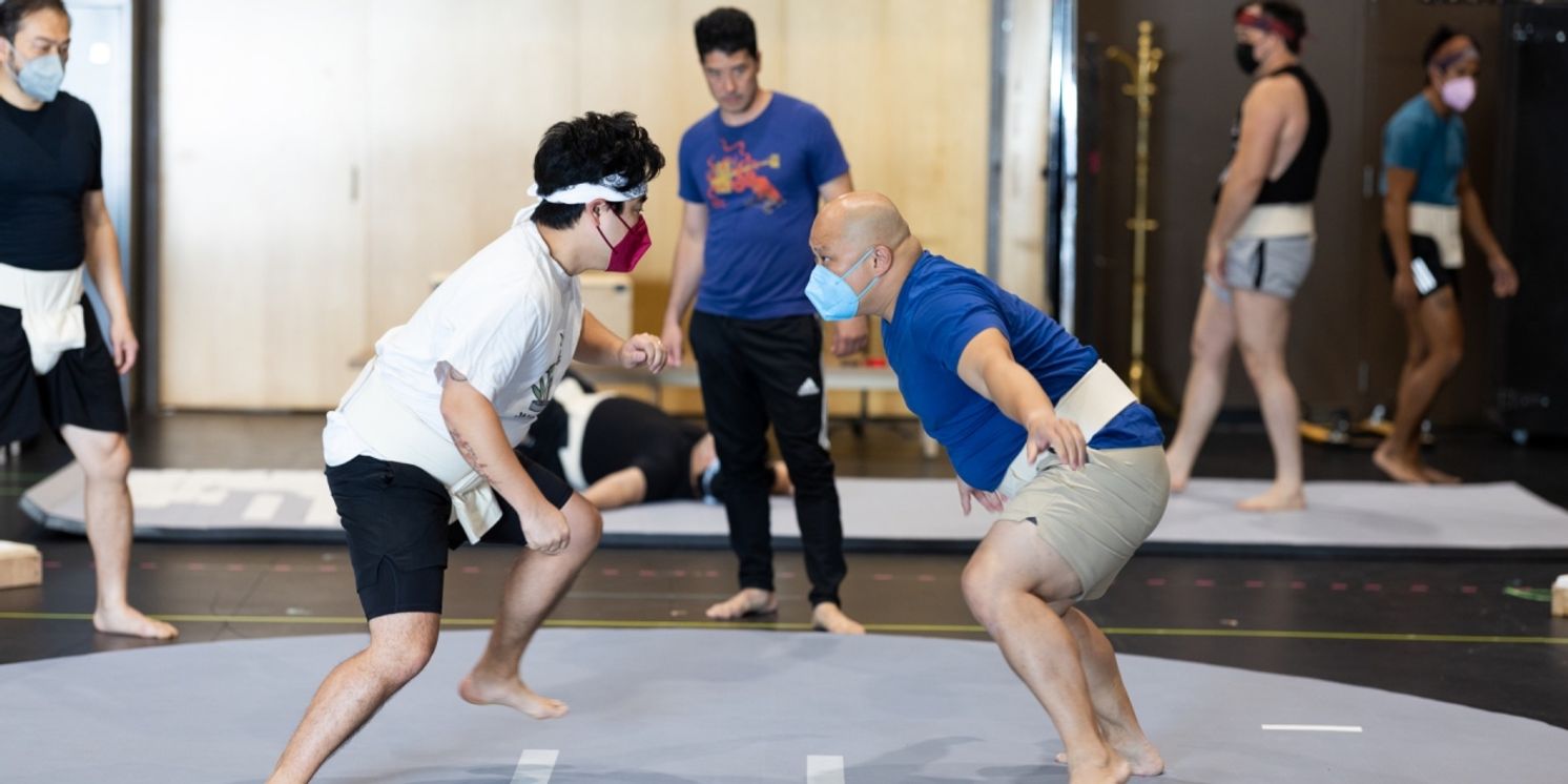 Ma-Yi Theater Company Unveils Fall 2023 Season Featuring World Premiere of Lisa Sanaye Dring's SUMO & More  Image