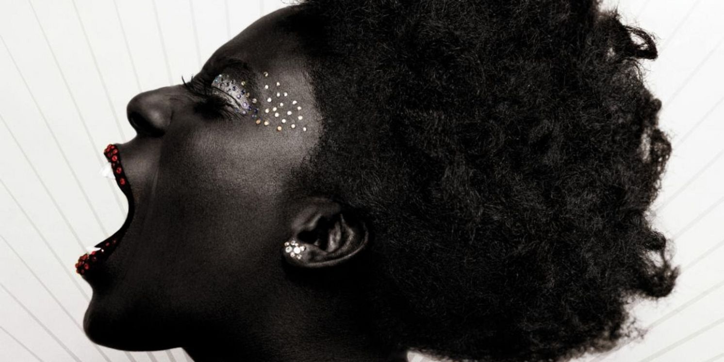 Macy Gray & The California Jet Club Announce U.S. Tour  Image