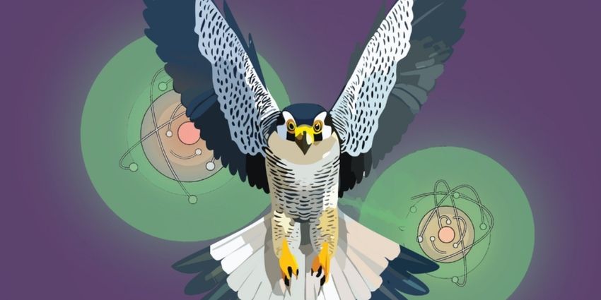 Magic Theatre To Present ENTANGLED By Julie Hébert Photo