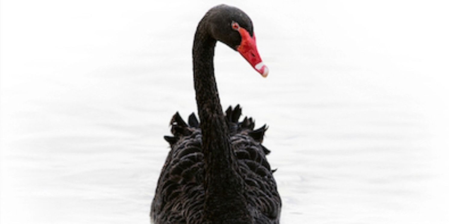 Mandoki Soulmates to Release New Studio Album 'A Memory Of Our Future' in May  Image