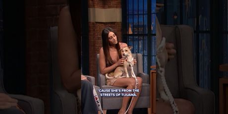 Mary Beth Barone's Dog Pinky Steals the Show With Benito Skinner as Her Nanny Photo