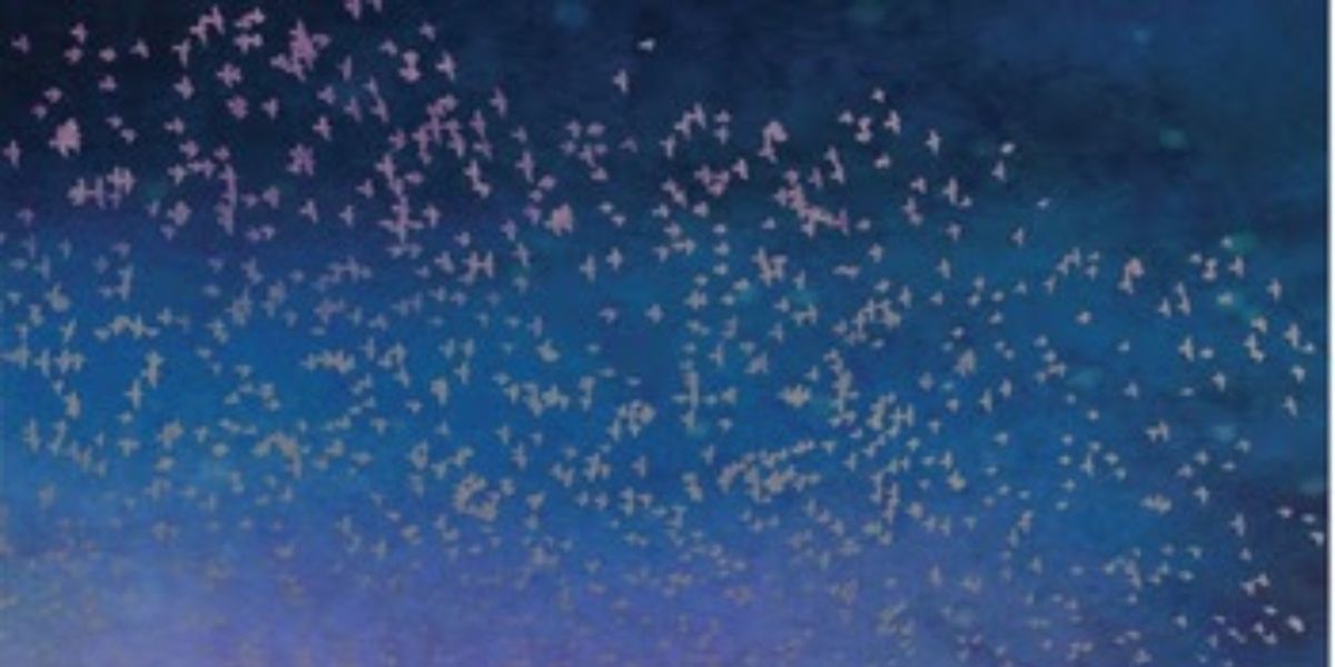 Mary Chapin Carpenter, Julie Fowlis, & Karine Polwart Release 'A Heart That Never Closes'