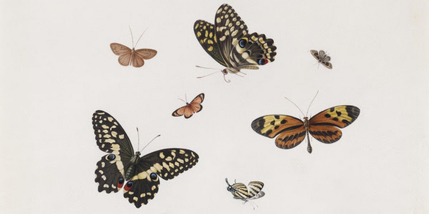 Master Drawings New York Announces Spring Exhibitions  Image