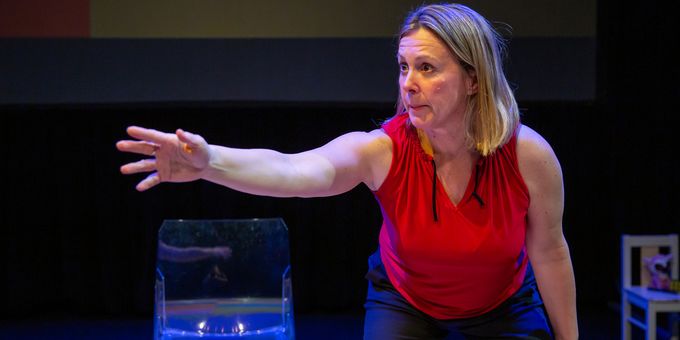 Megan Dolan Will Bring Solo Show NOT THE RIGHT MOM to Avenel Photos
