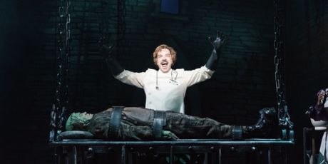 VERY YOUNG FRANKENSTEIN Lands Full Series Order for Mel Brooks Reimagining Photo